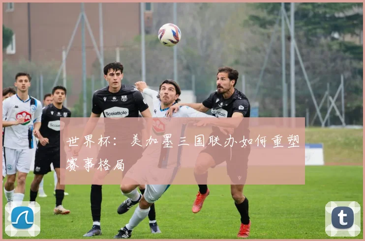 世界杯:美加墨三国联办如何重塑赛事格局